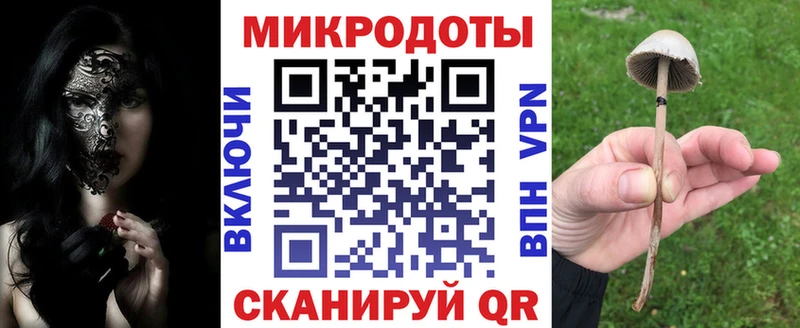 гидра ТОР  даркнет состав  Псилоцибиновые грибы MAGIC MUSHROOMS  Венёв 